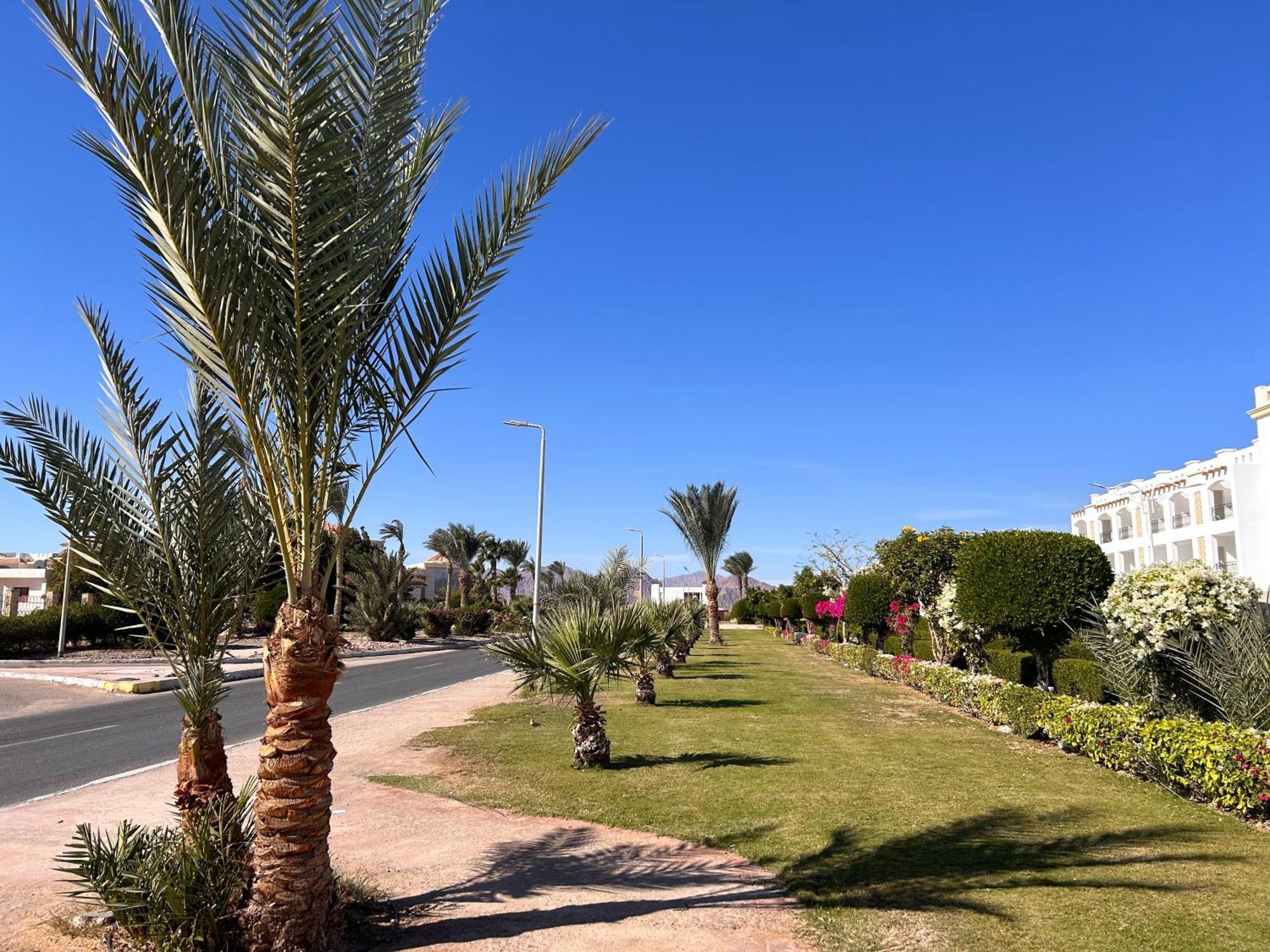 Cosy Studio On The First Floor With Lovely Terrace And Personal Garden Area, Pool View And Free Beach Access In Sharm Hills Resort Exteriér fotografie